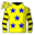 Runner silk