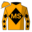 Runner silk