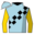 Runner silk