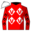 Runner silk